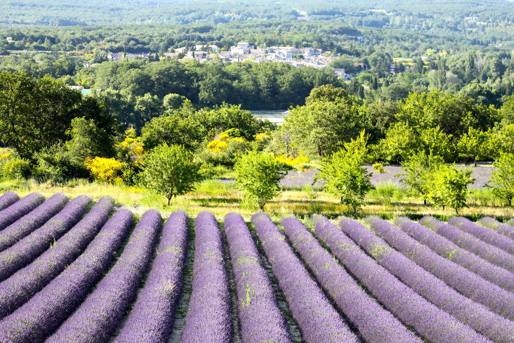 La Bugadiere Salles-sous-Bois Luaran gambar