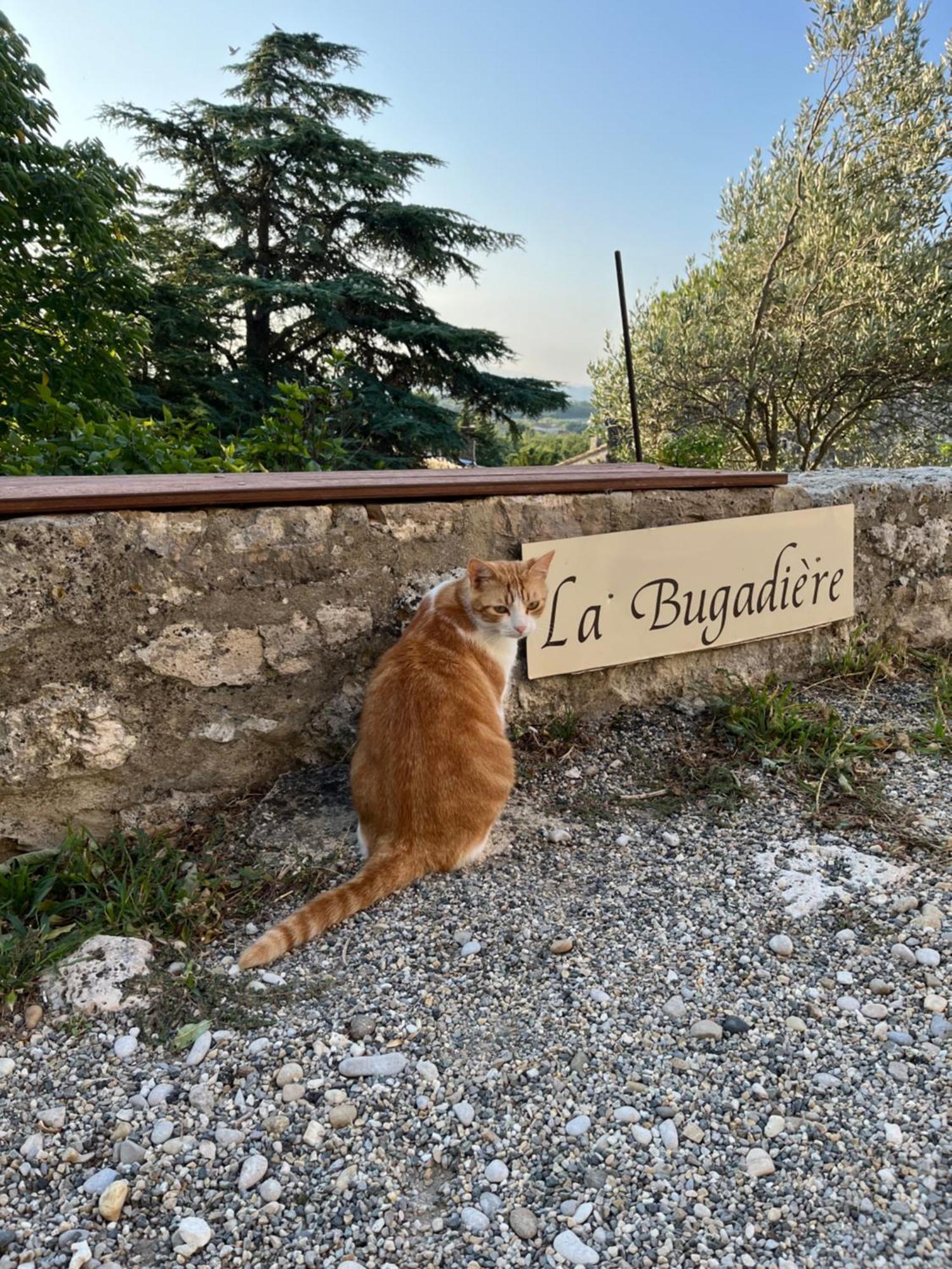 La Bugadiere Salles-sous-Bois Luaran gambar