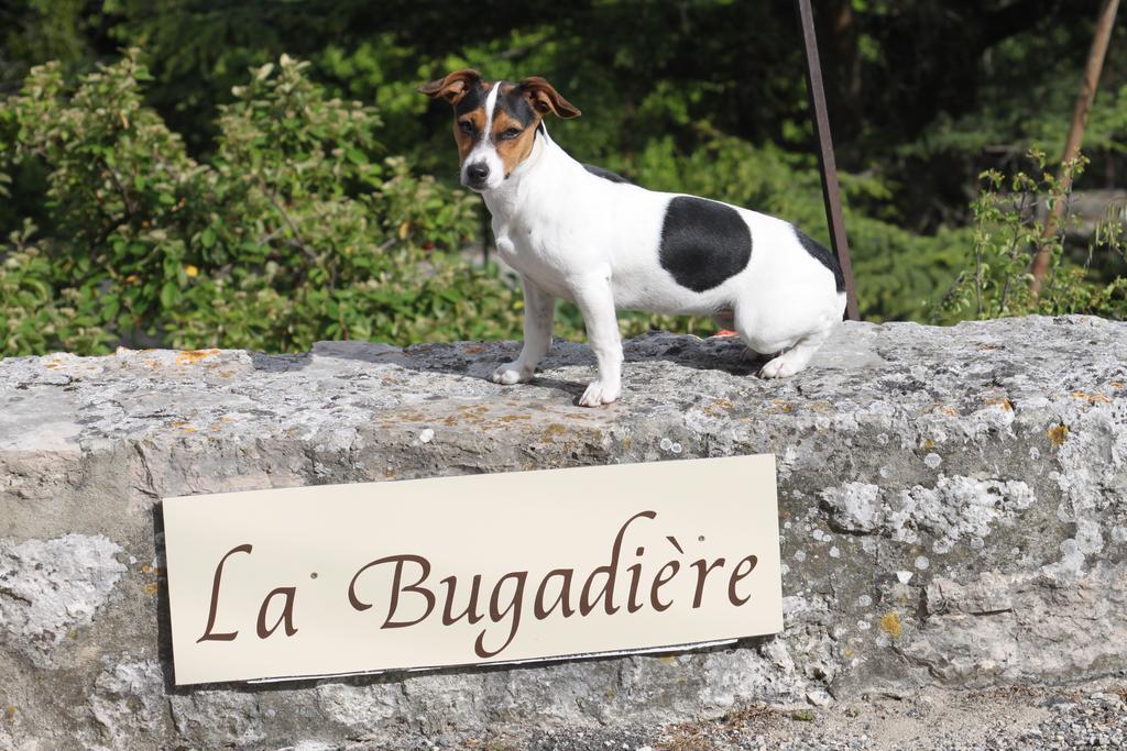 La Bugadiere Salles-sous-Bois Luaran gambar